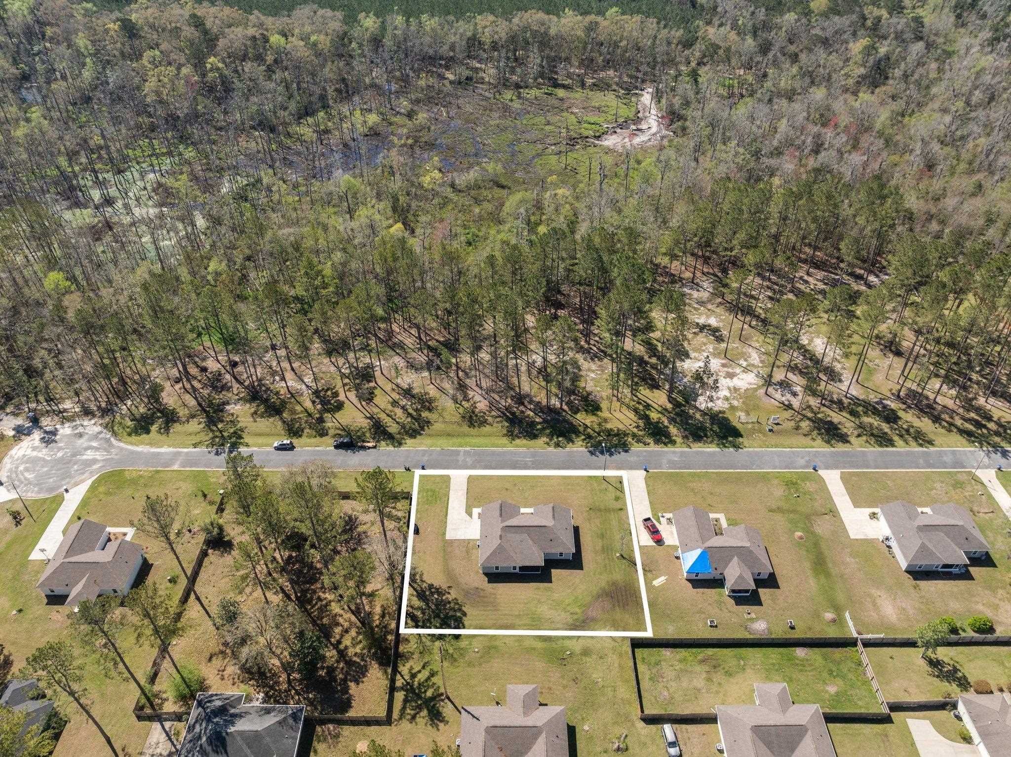 1600 Sweetbay Court, Monticello, Florida image 3