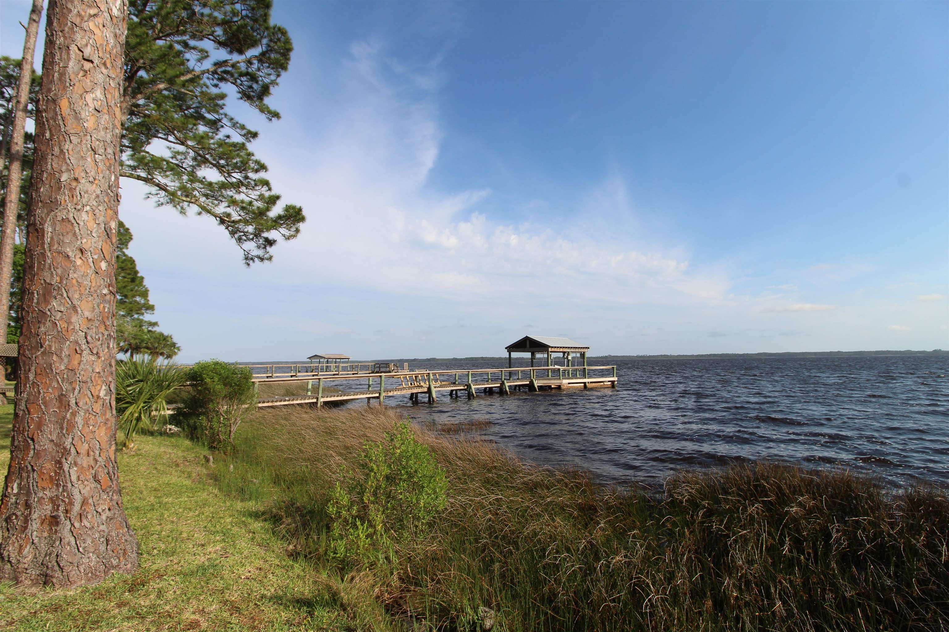 134 River Drive, Panacea, Florida image 11
