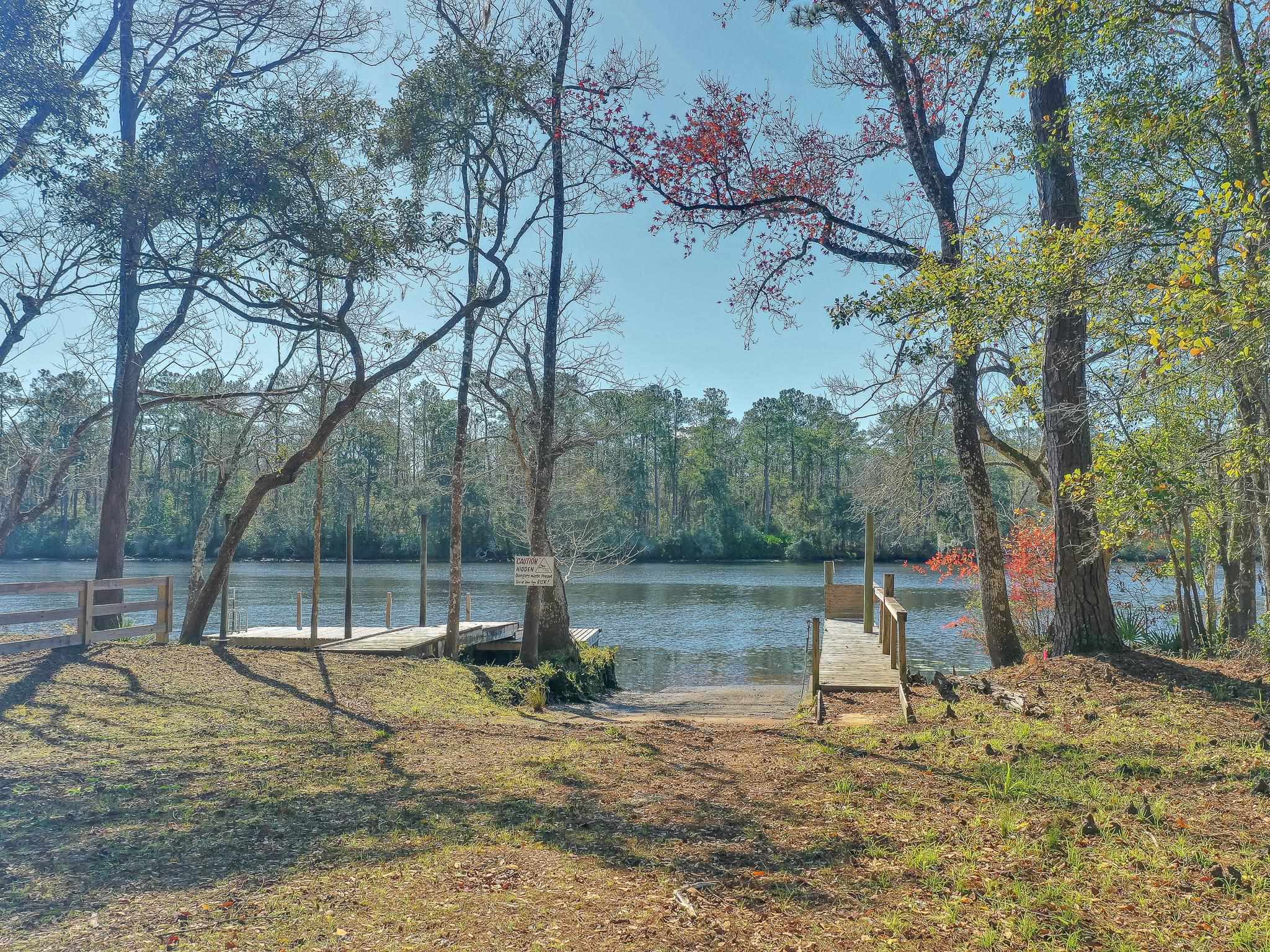 XX Mackery Wood Road, Sopchoppy, Florida image 1