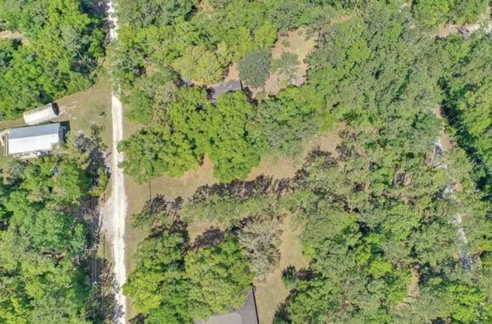 XX Mackery Wood Road, Sopchoppy, Florida image 10