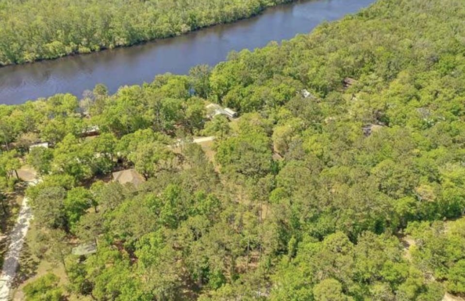 XX Mackery Wood Road, Sopchoppy, Florida image 12