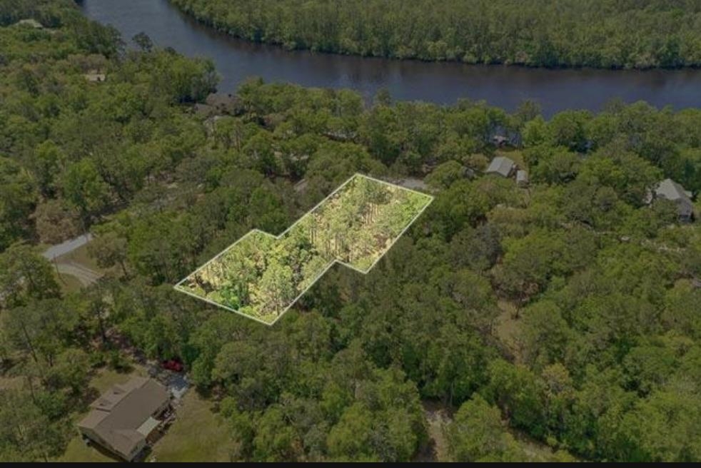 XX Mackery Wood Road, Sopchoppy, Florida image 13