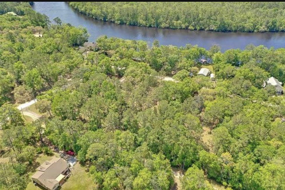 XX Mackery Wood Road, Sopchoppy, Florida image 14