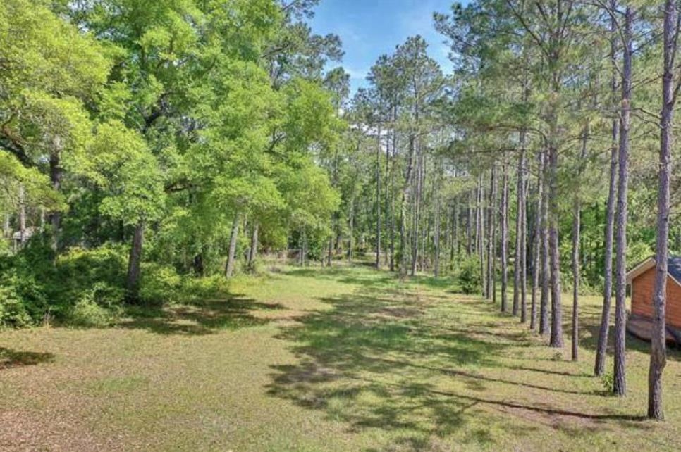 XX Mackery Wood Road, Sopchoppy, Florida image 15