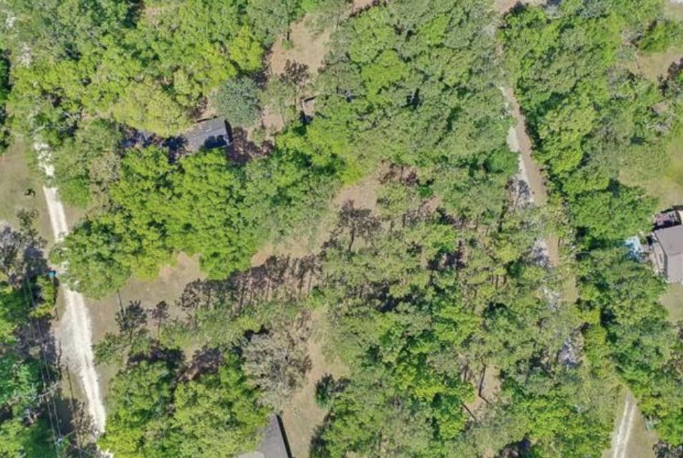 XX Mackery Wood Road, Sopchoppy, Florida image 16