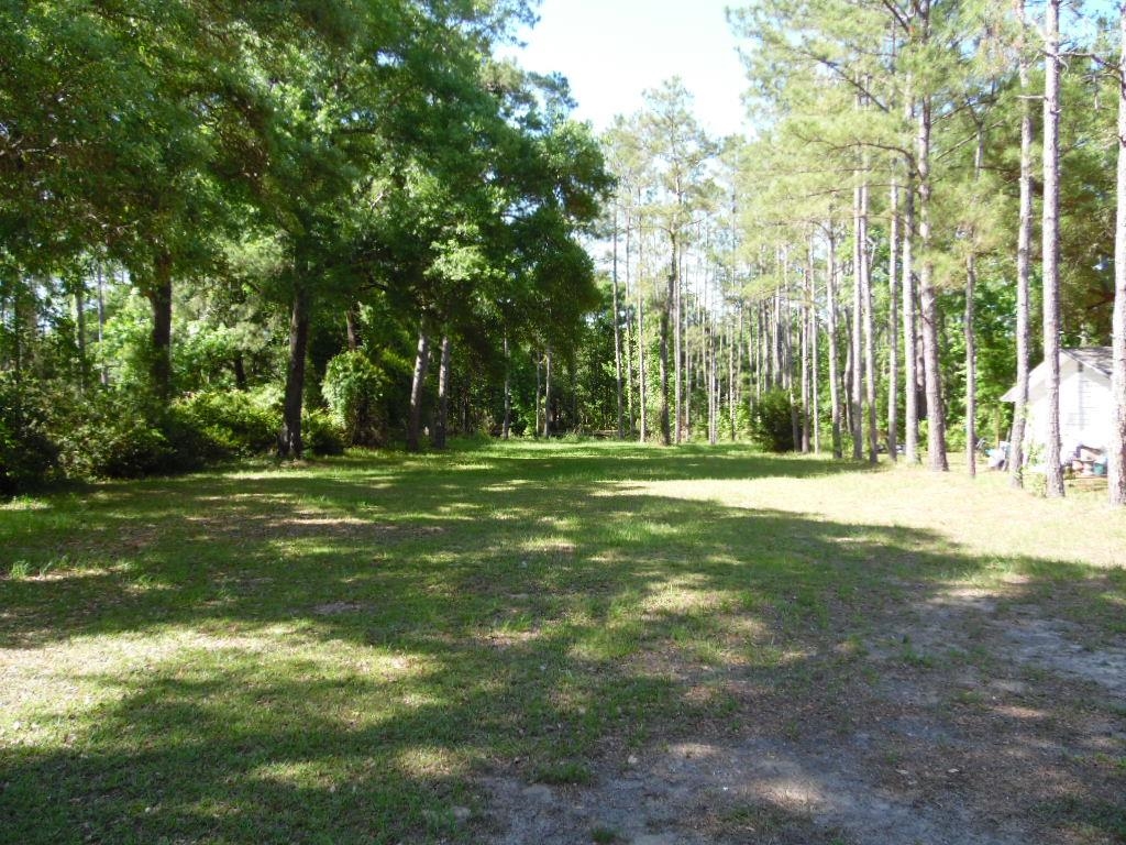XX Mackery Wood Road, Sopchoppy, Florida image 17