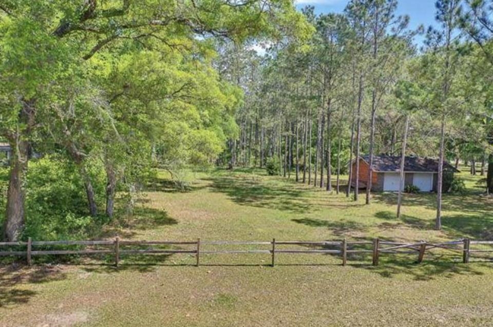 XX Mackery Wood Road, Sopchoppy, Florida image 3