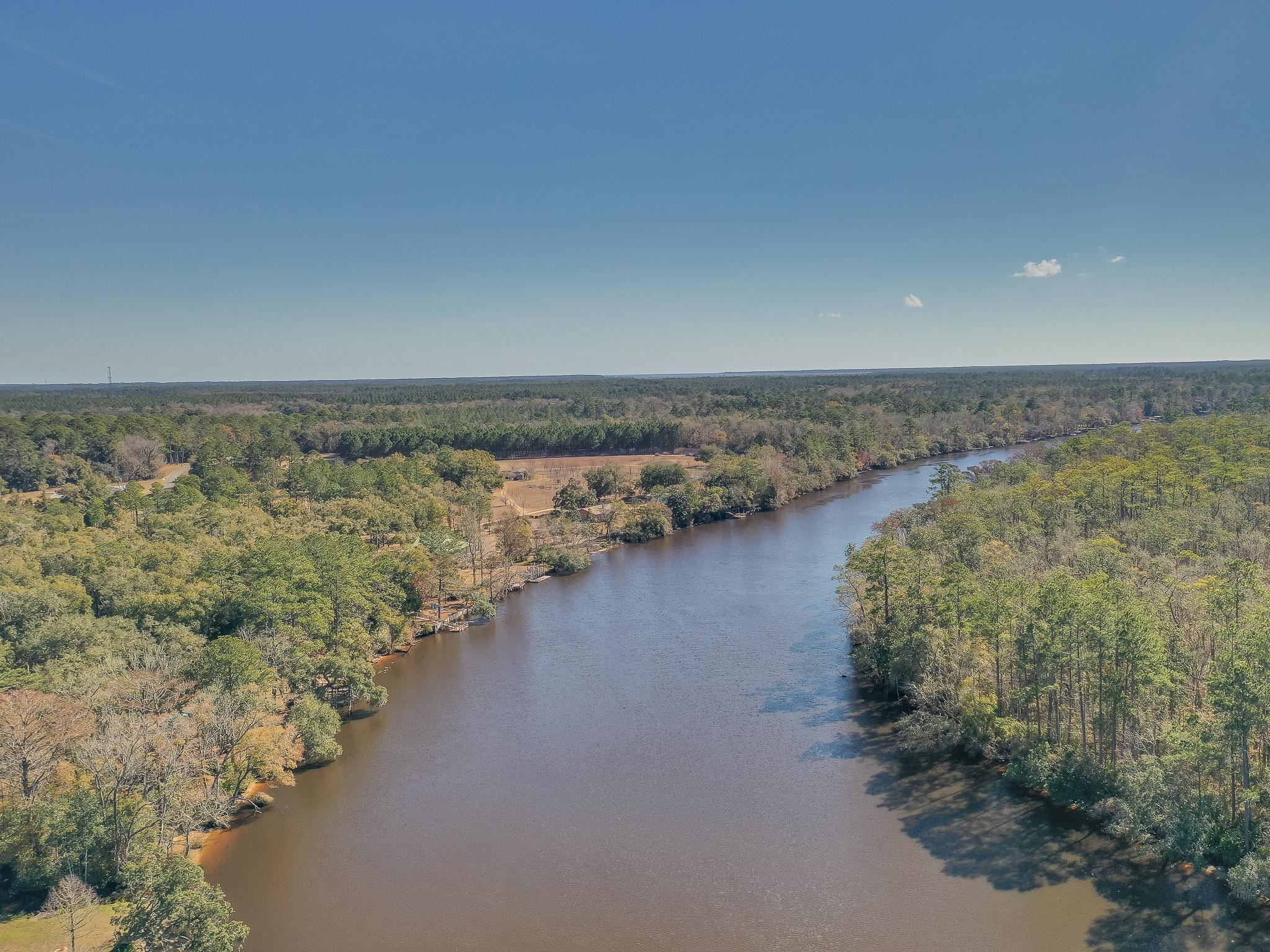 XX Mackery Wood Road, Sopchoppy, Florida image 5