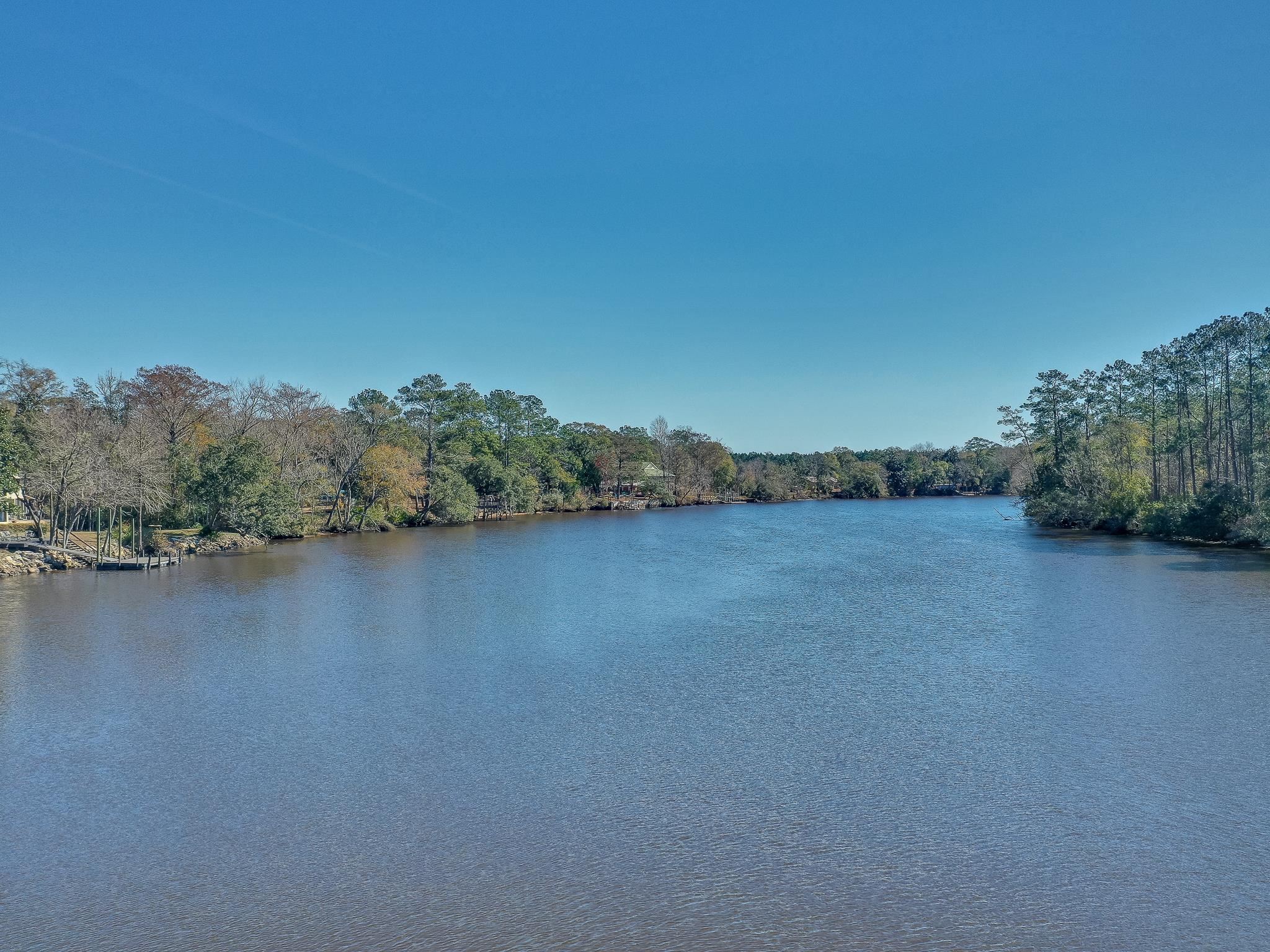 XX Mackery Wood Road, Sopchoppy, Florida image 6