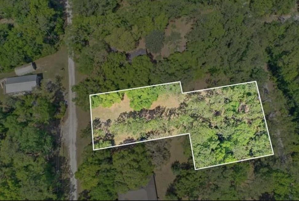 XX Mackery Wood Road, Sopchoppy, Florida image 9