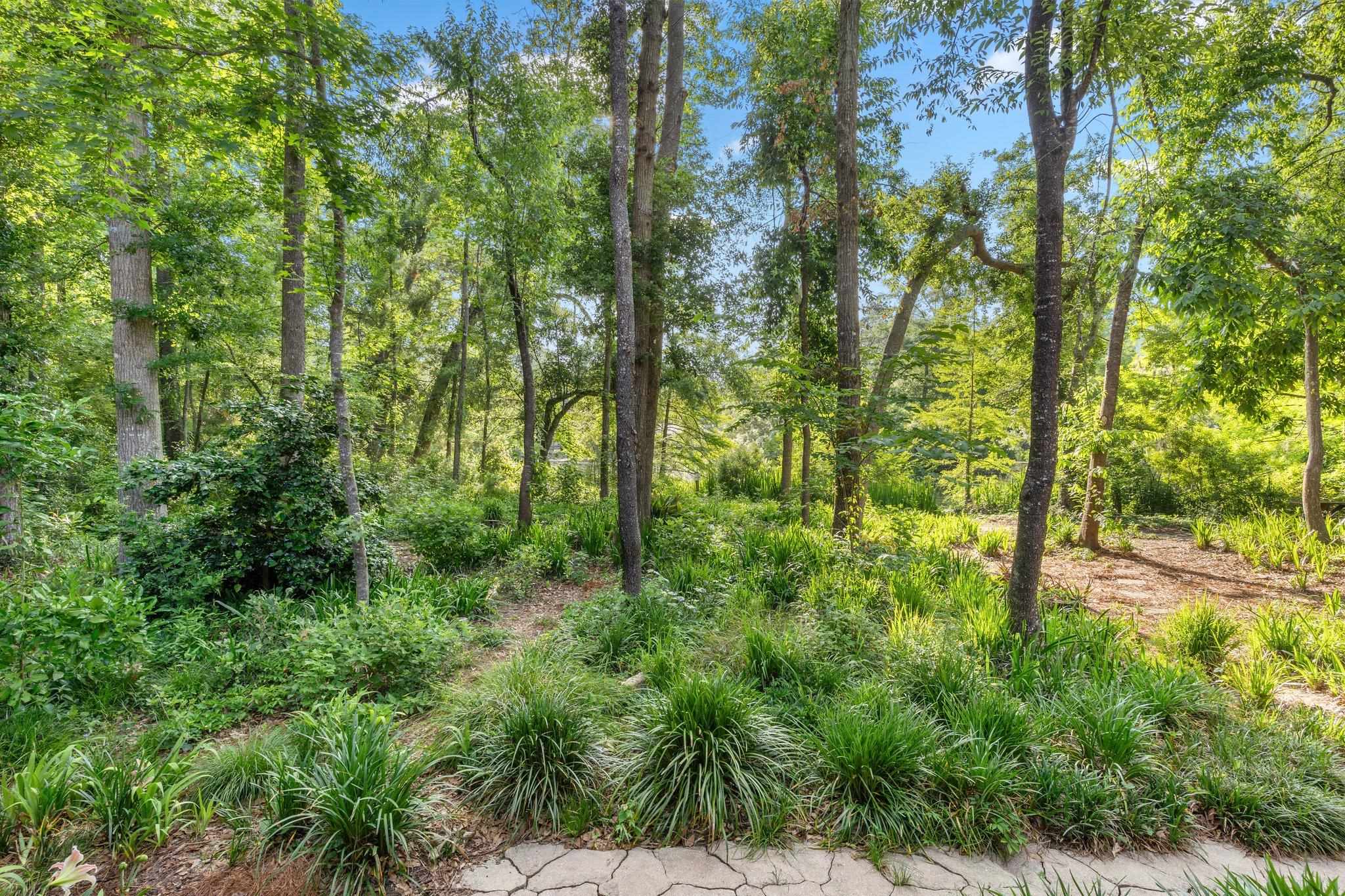 1705 Brookside Boulevard, Tallahassee, Florida image 35
