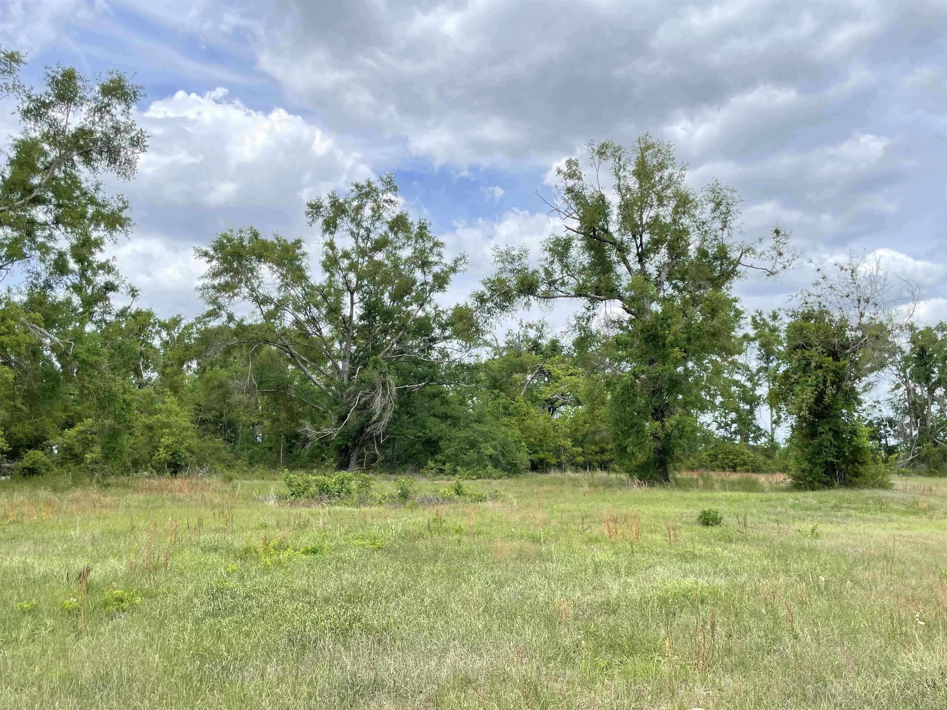 289 SE Candlestick Trail, Lee, Texas image 20