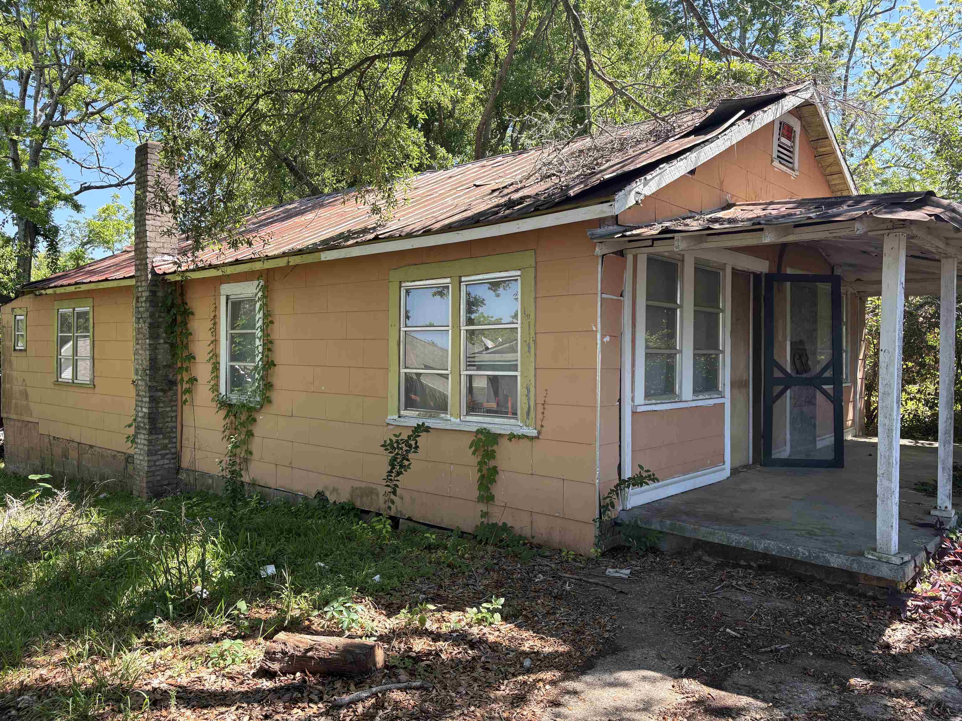 810 Taylor Street #12, Tallahassee, Florida image 4