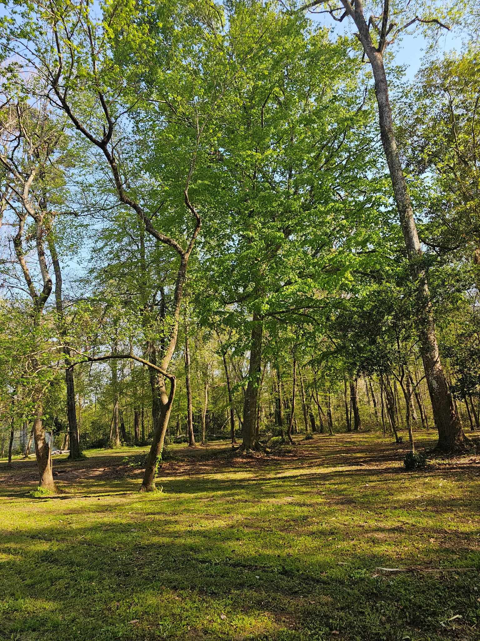 16895 Mahan Drive, Tallahassee, Texas image 2