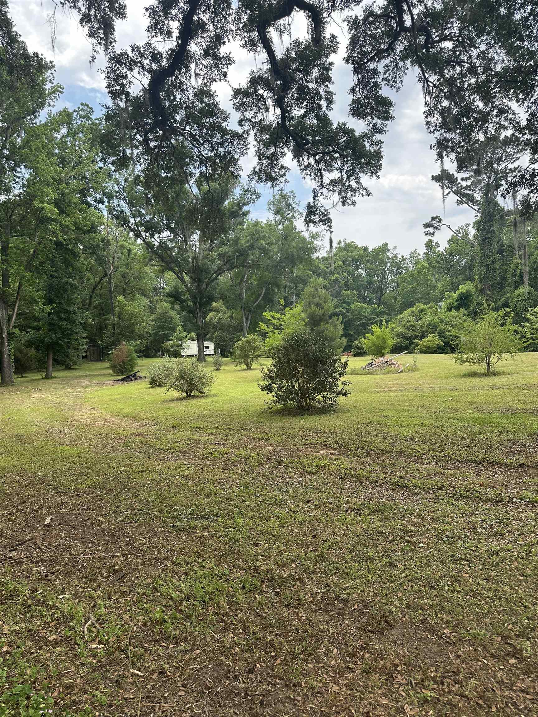 16895 Mahan Drive, Tallahassee, Texas image 4