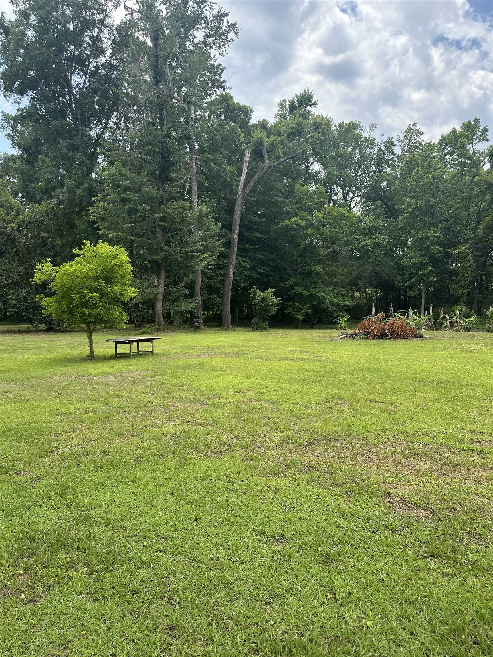 16895 Mahan Drive, Tallahassee, Texas image 5