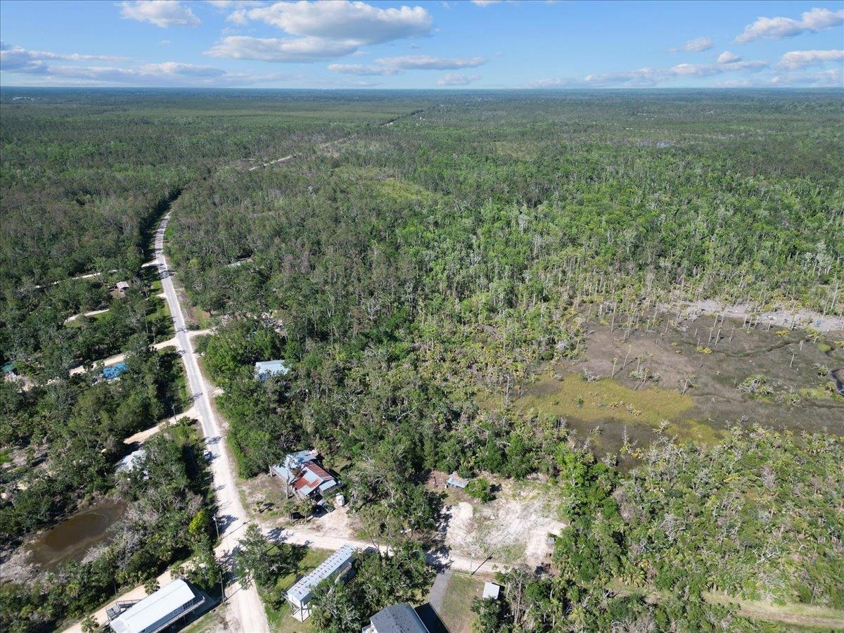 13878 Spring Warrior Rd, Perry, Florida image 13