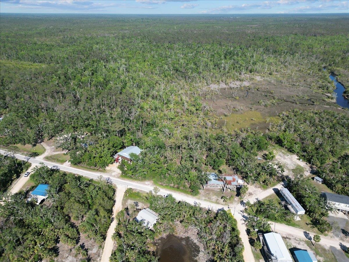 13878 Spring Warrior Rd, Perry, Florida image 14