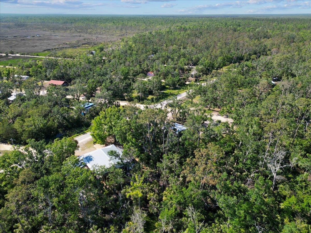 13878 Spring Warrior Rd, Perry, Florida image 8