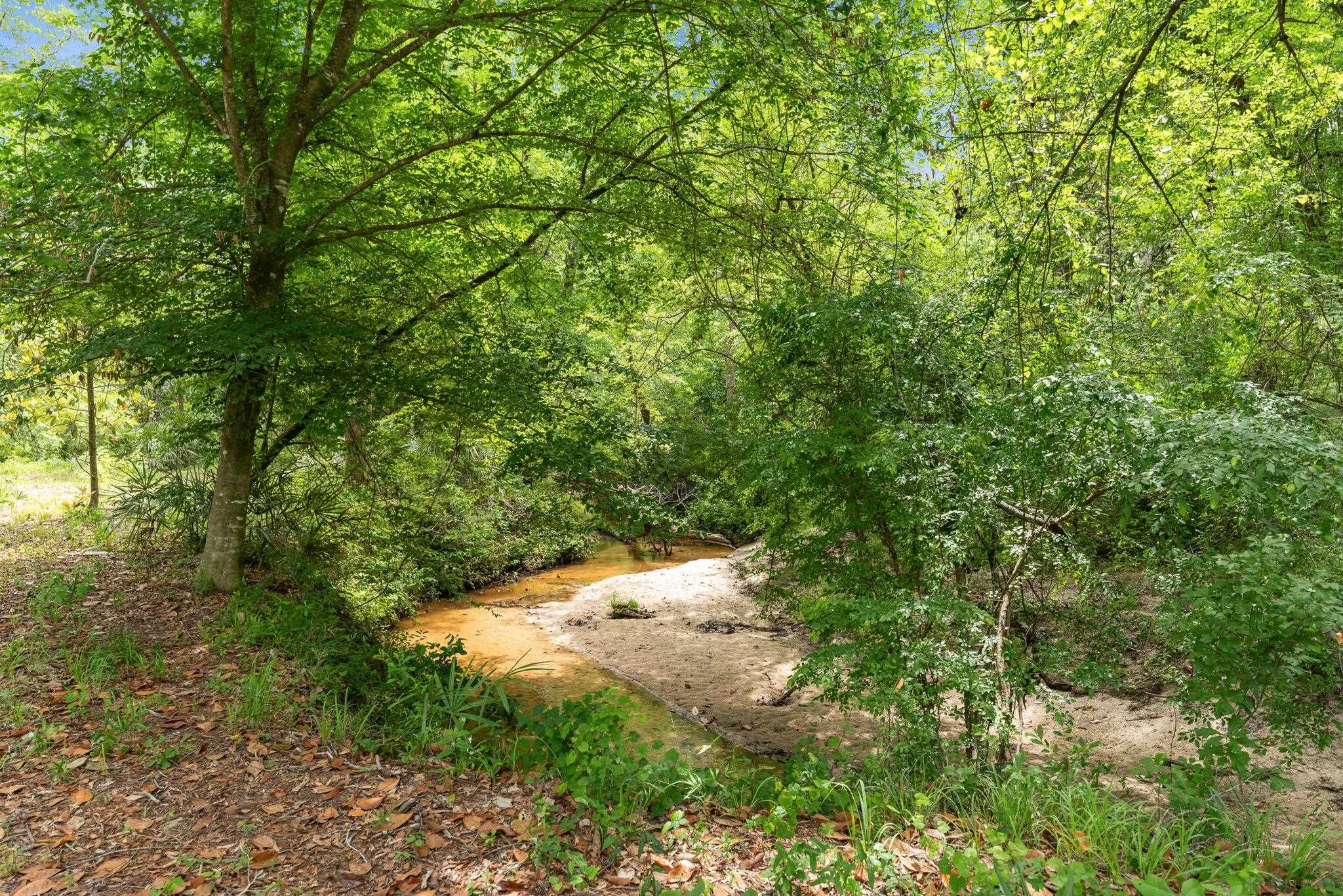 11274 & 11280 Old Federal Road, Quincy, Texas image 39