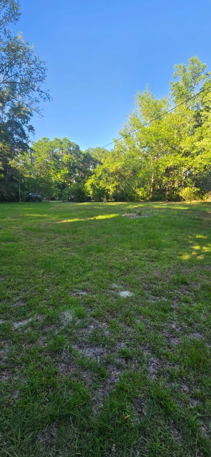 3 Rosewood Road, Crawfordville, Florida image 14