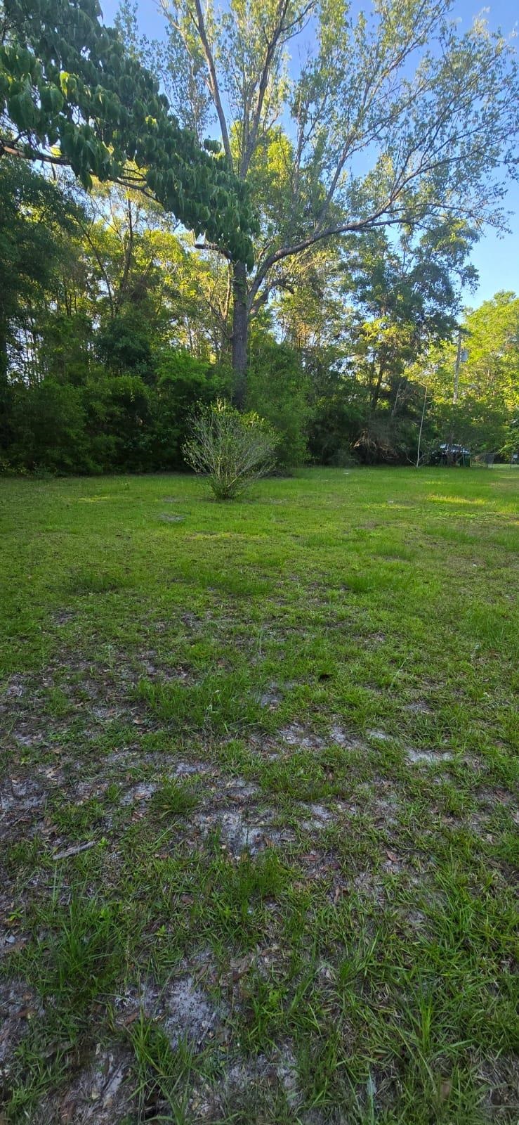 3 Rosewood Road, Crawfordville, Florida image 15