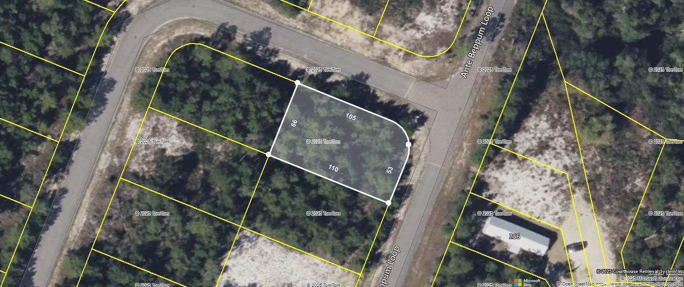 1756 Landing Street, Carrabelle, Florida image 1