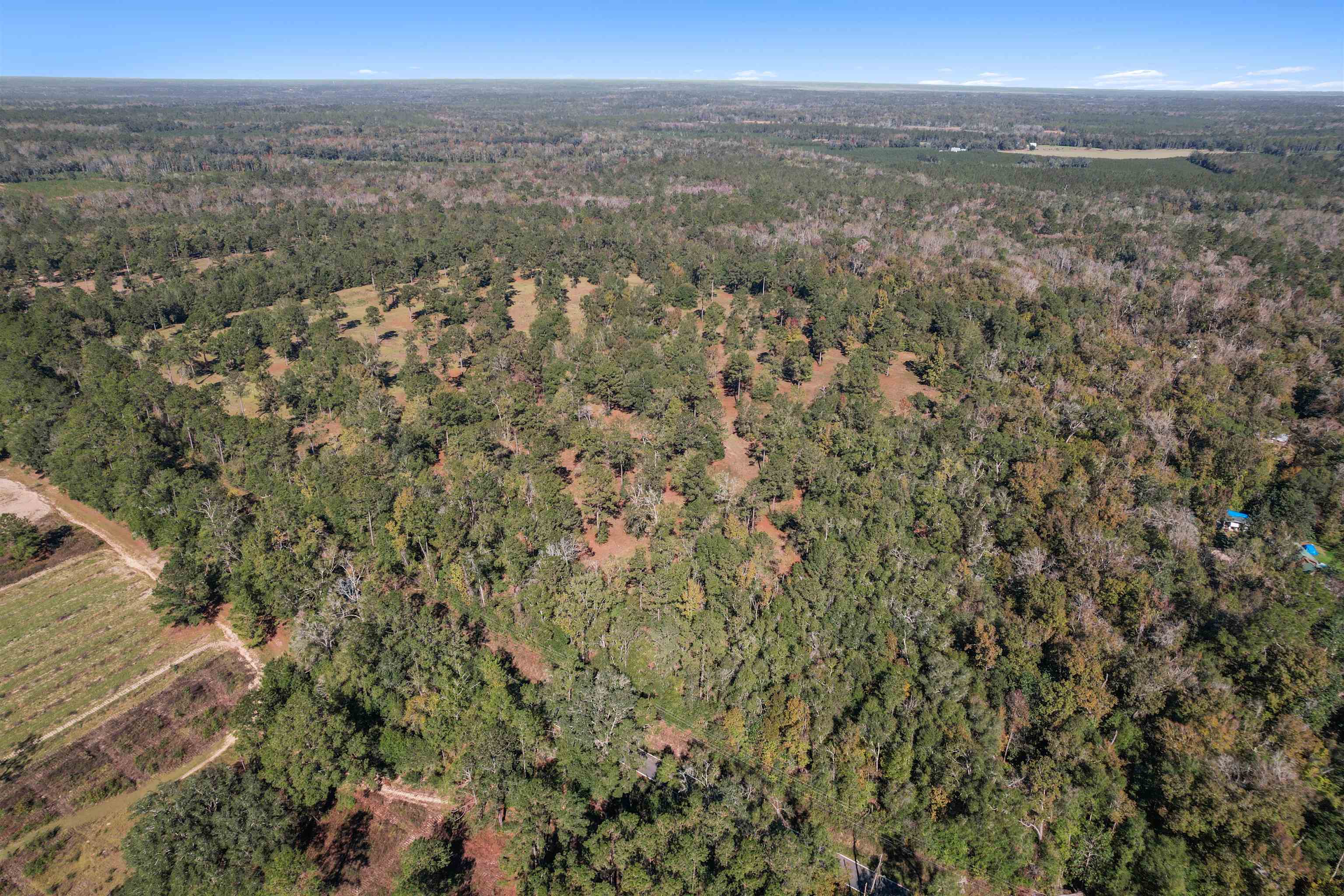 Lot 4 Watermill Road, Monticello, Florida image 10