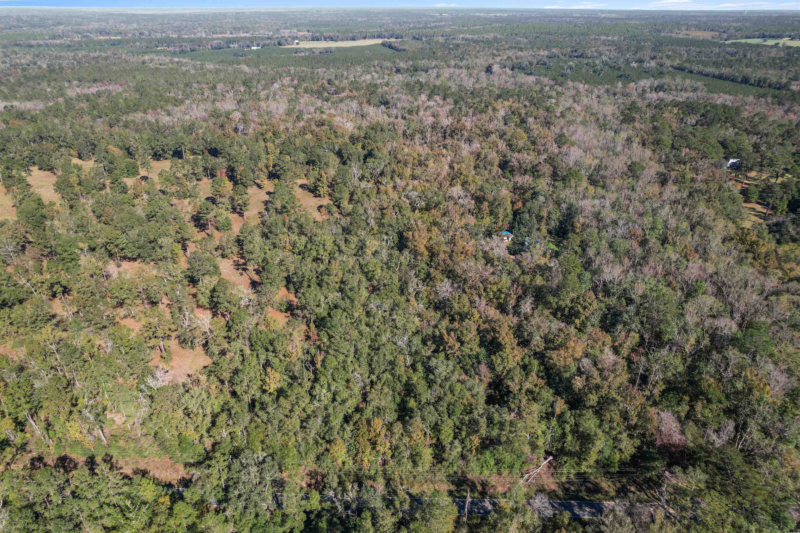 Lot 4 Watermill Road, Monticello, Florida image 11