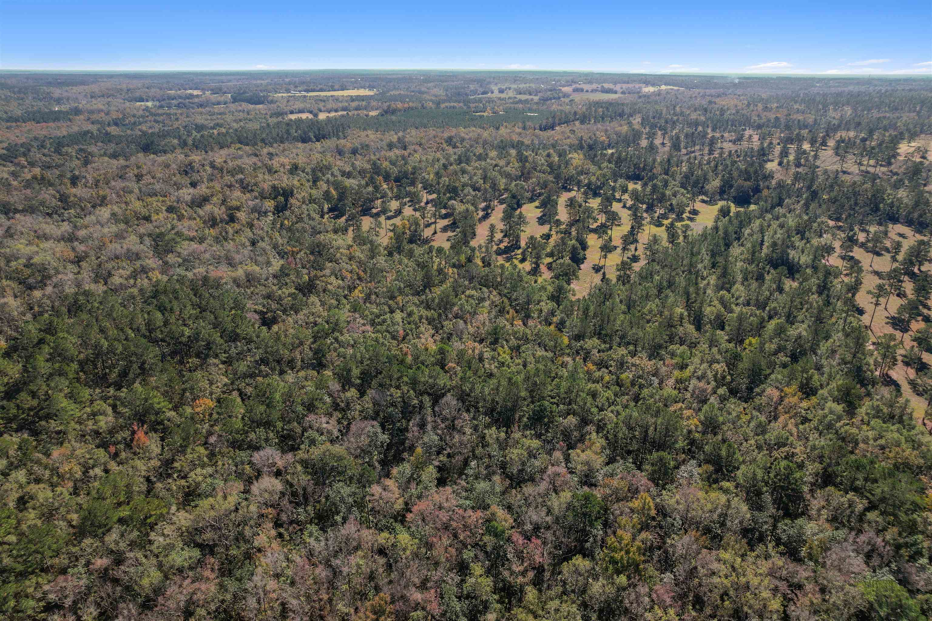 Lot 4 Watermill Road, Monticello, Florida image 15