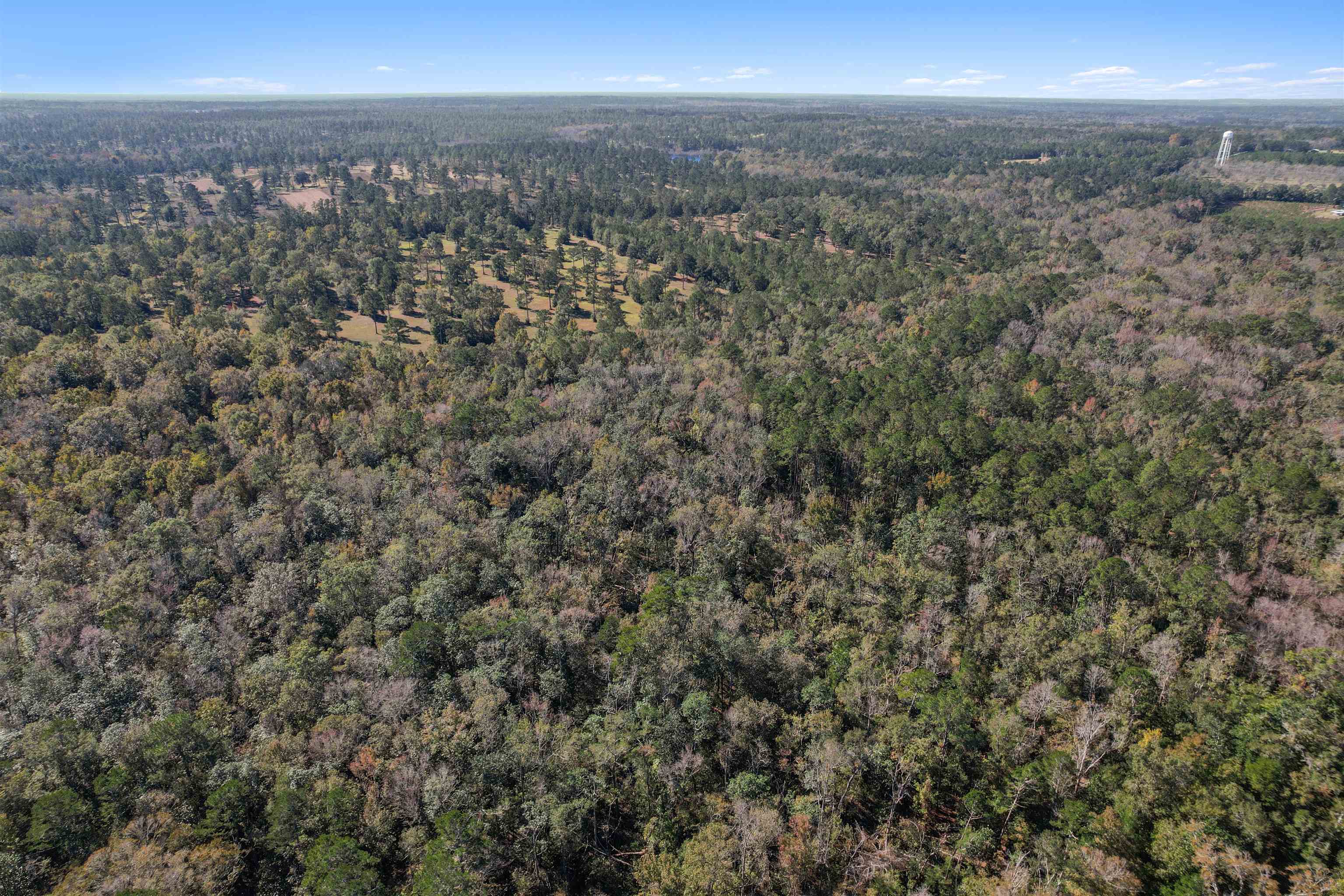 Lot 4 Watermill Road, Monticello, Florida image 18