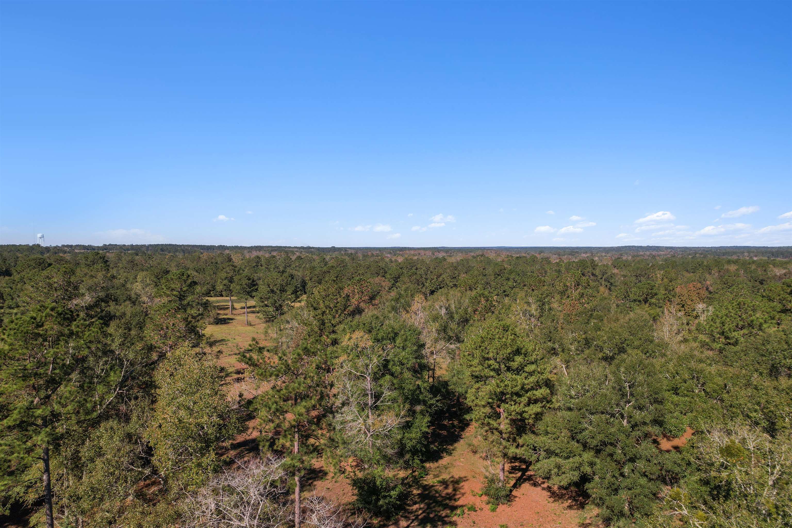 Lot 4 Watermill Road, Monticello, Florida image 20