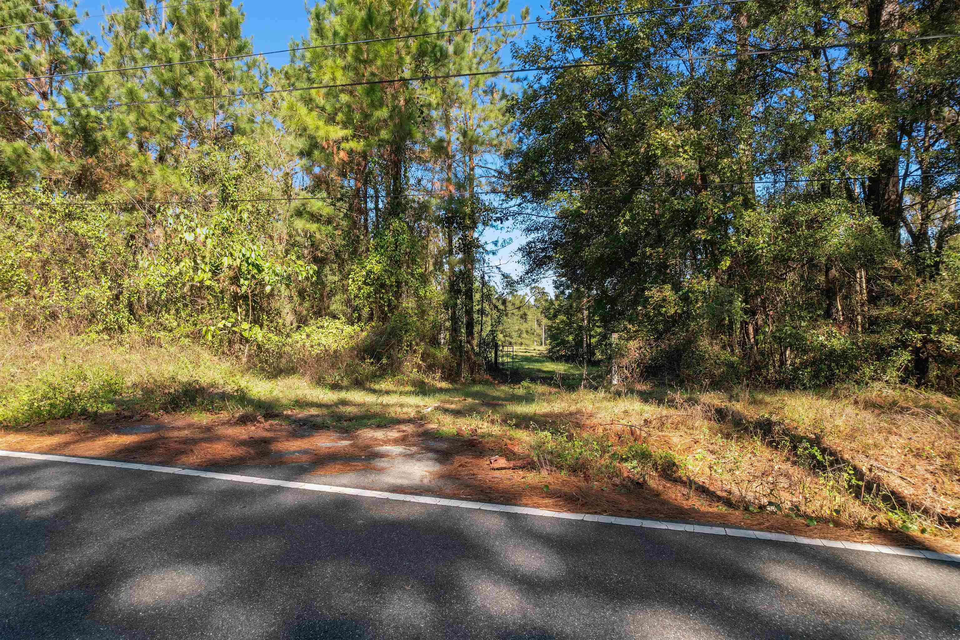 Lot 4 Watermill Road, Monticello, Florida image 6