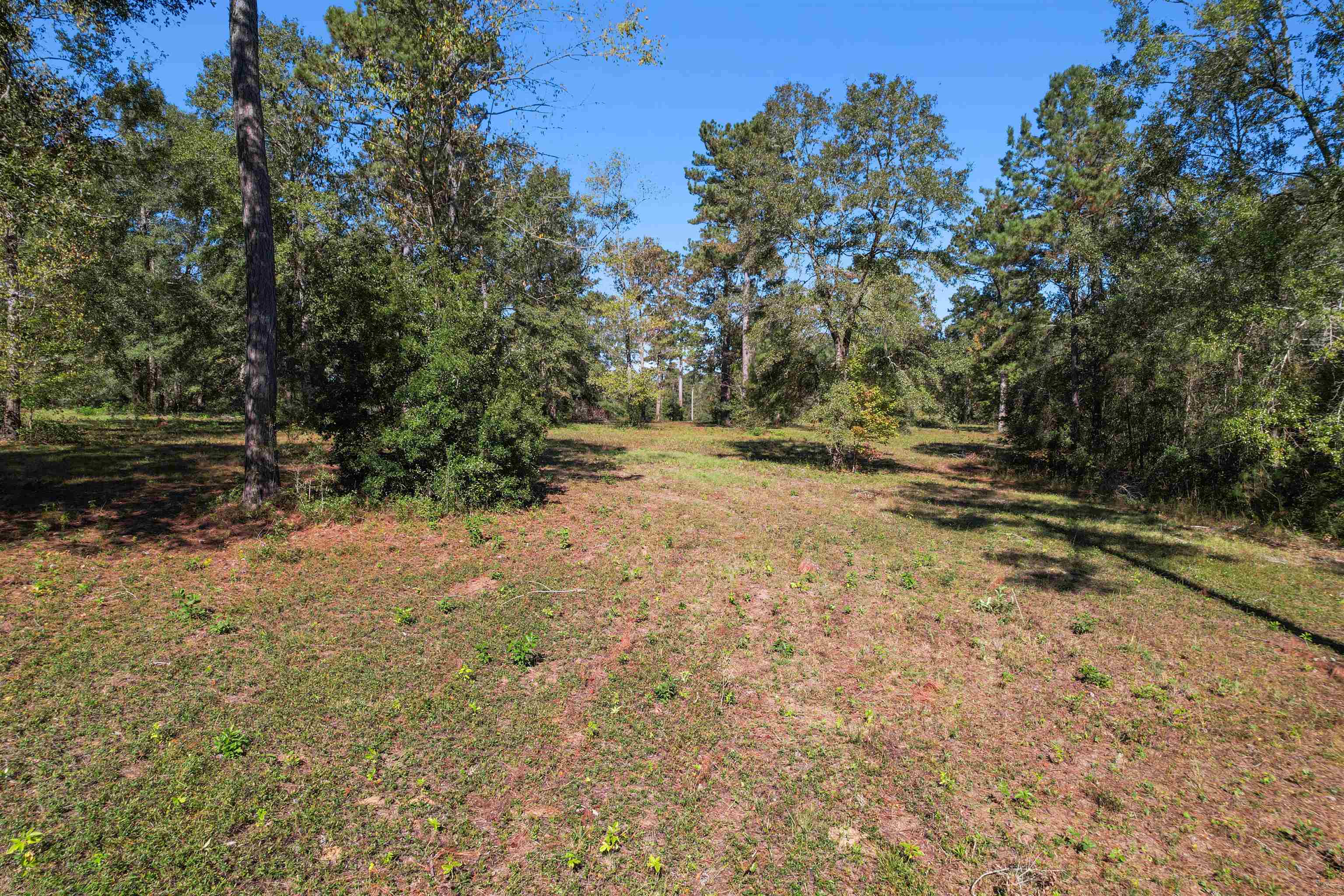 Lot 4 Watermill Road, Monticello, Florida image 7