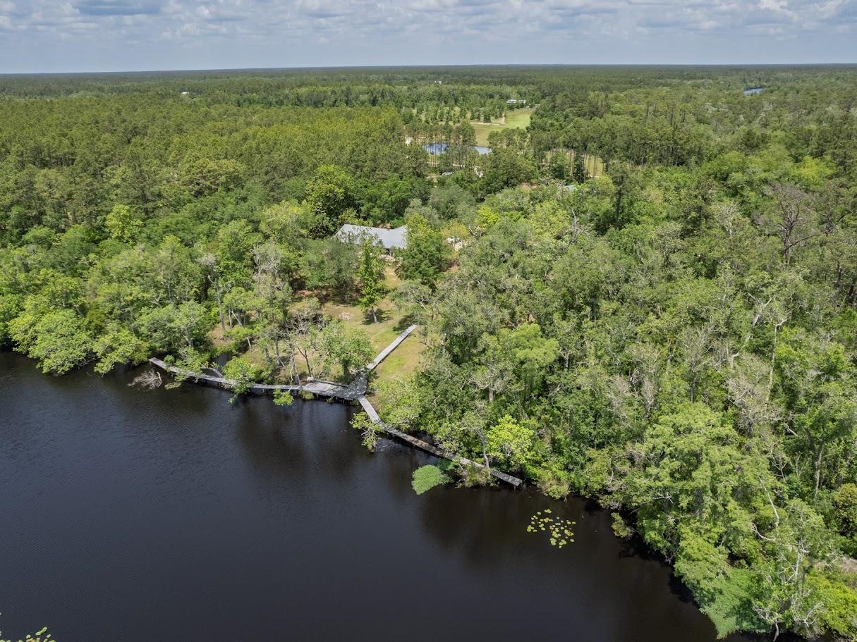 881 Hickory Hammock Road, Carrabelle, Florida image 41