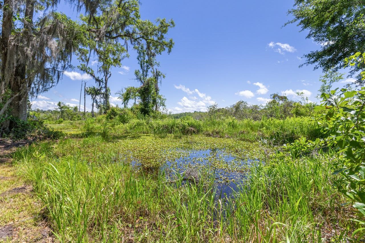12881 SW Overstreet Avenue, Lamont, Florida image 35