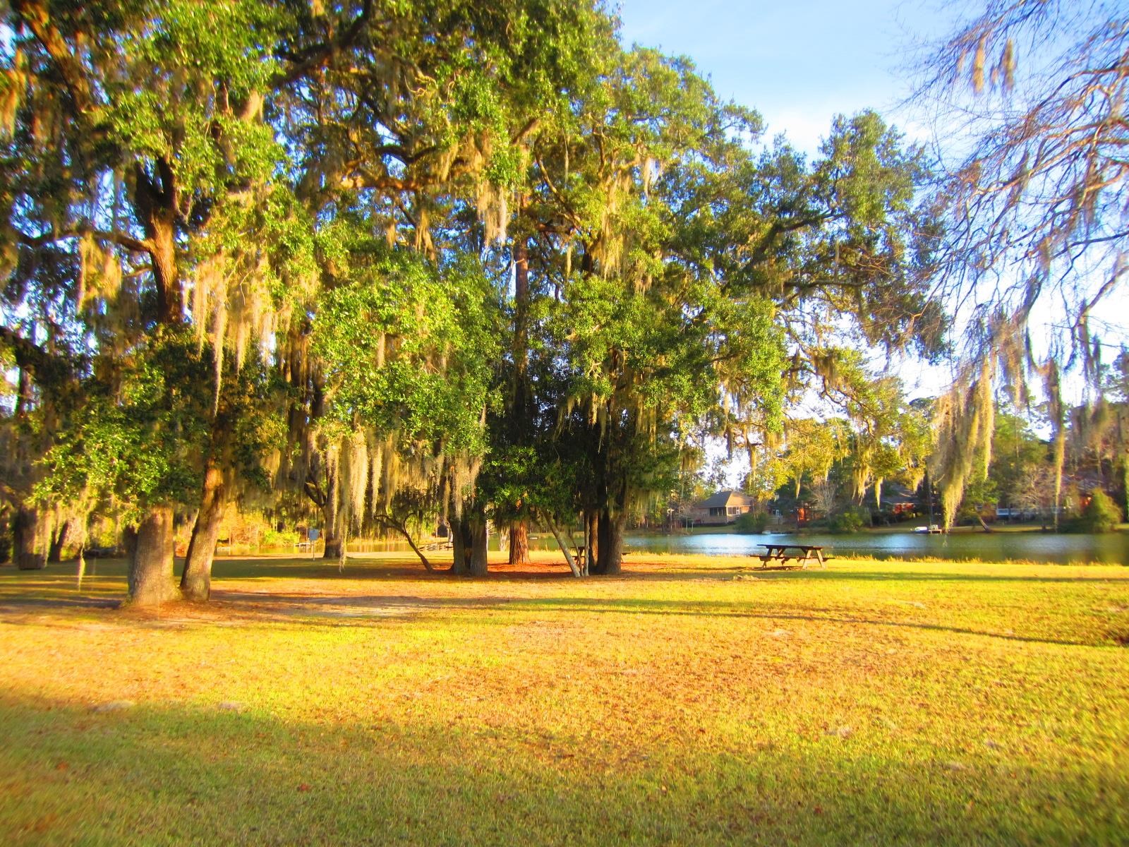10533 Lake Iamonia Drive, Tallahassee, Florida image 41