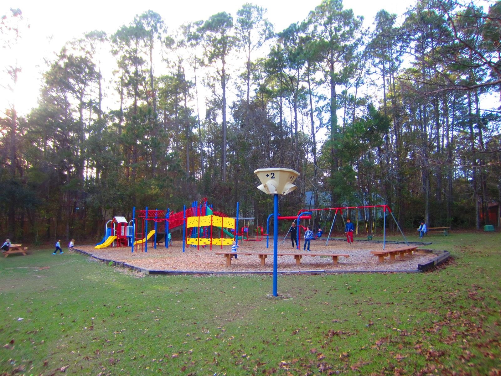10533 Lake Iamonia Drive, Tallahassee, Florida image 42