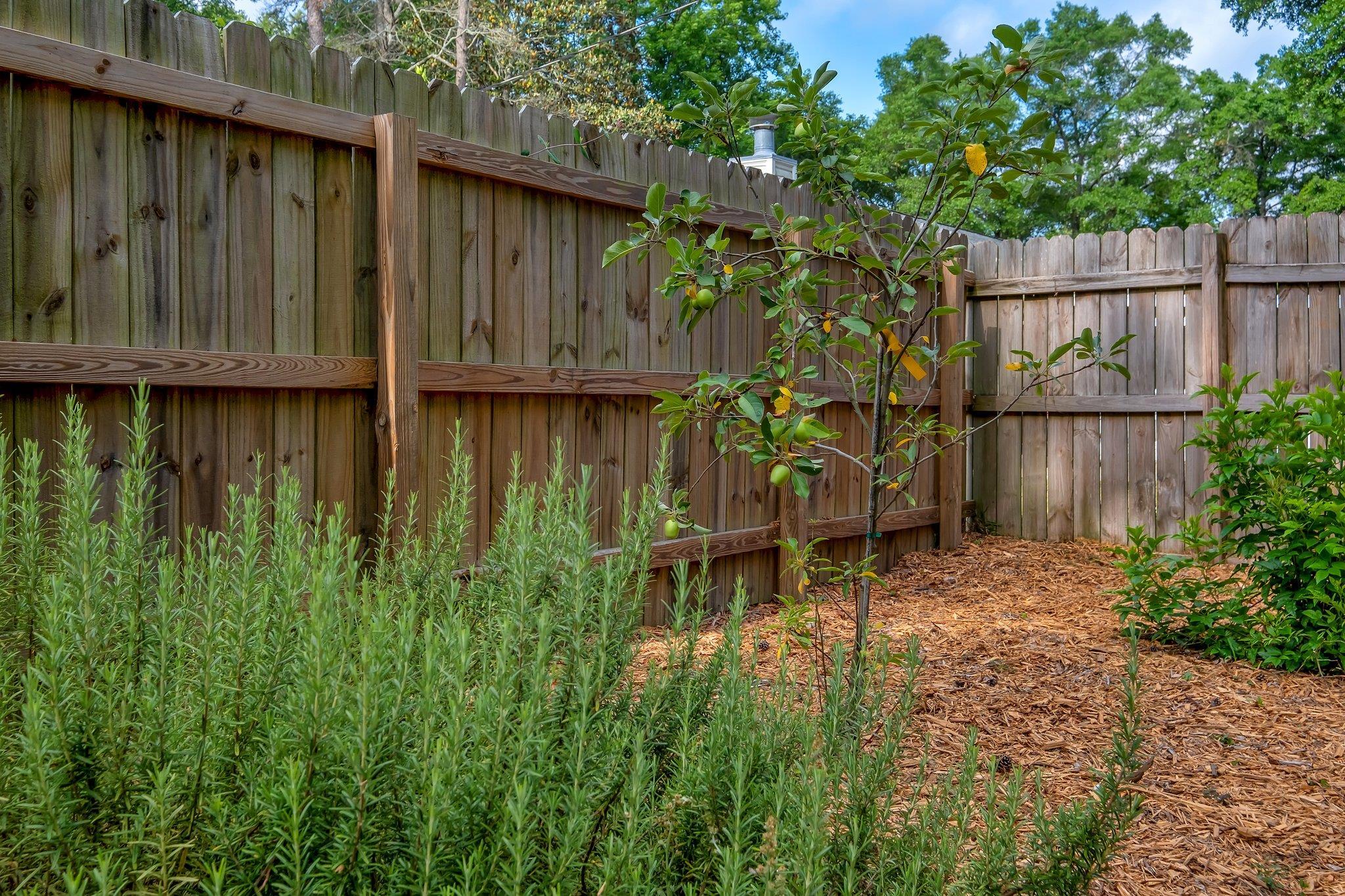 1818 Homewood Road, Tallahassee, Texas image 40