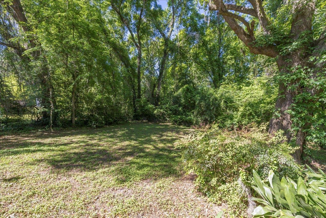 3822 Leane Drive, Tallahassee, Florida image 39
