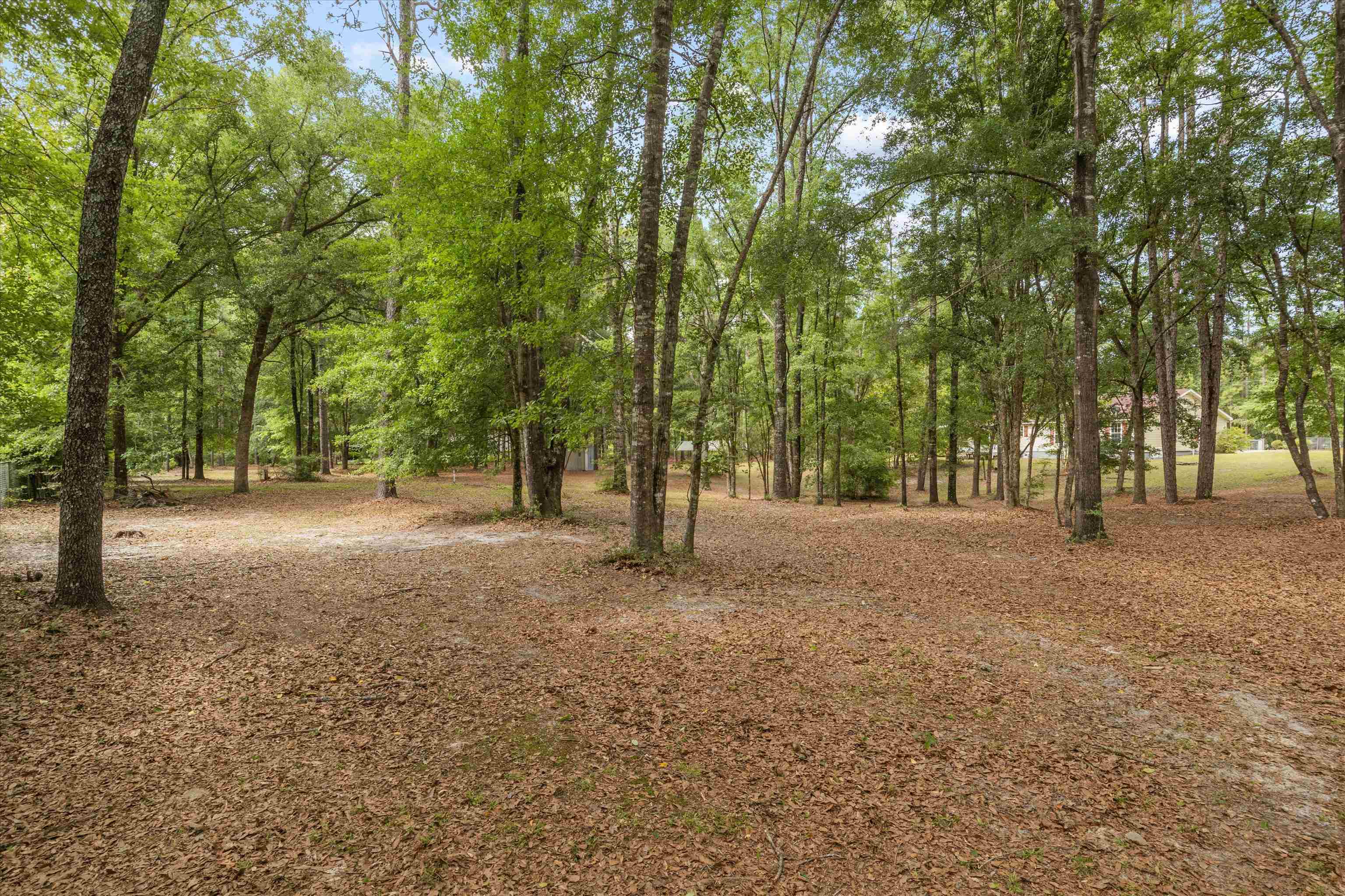 8033 Christina Road, Tallahassee, Florida image 37