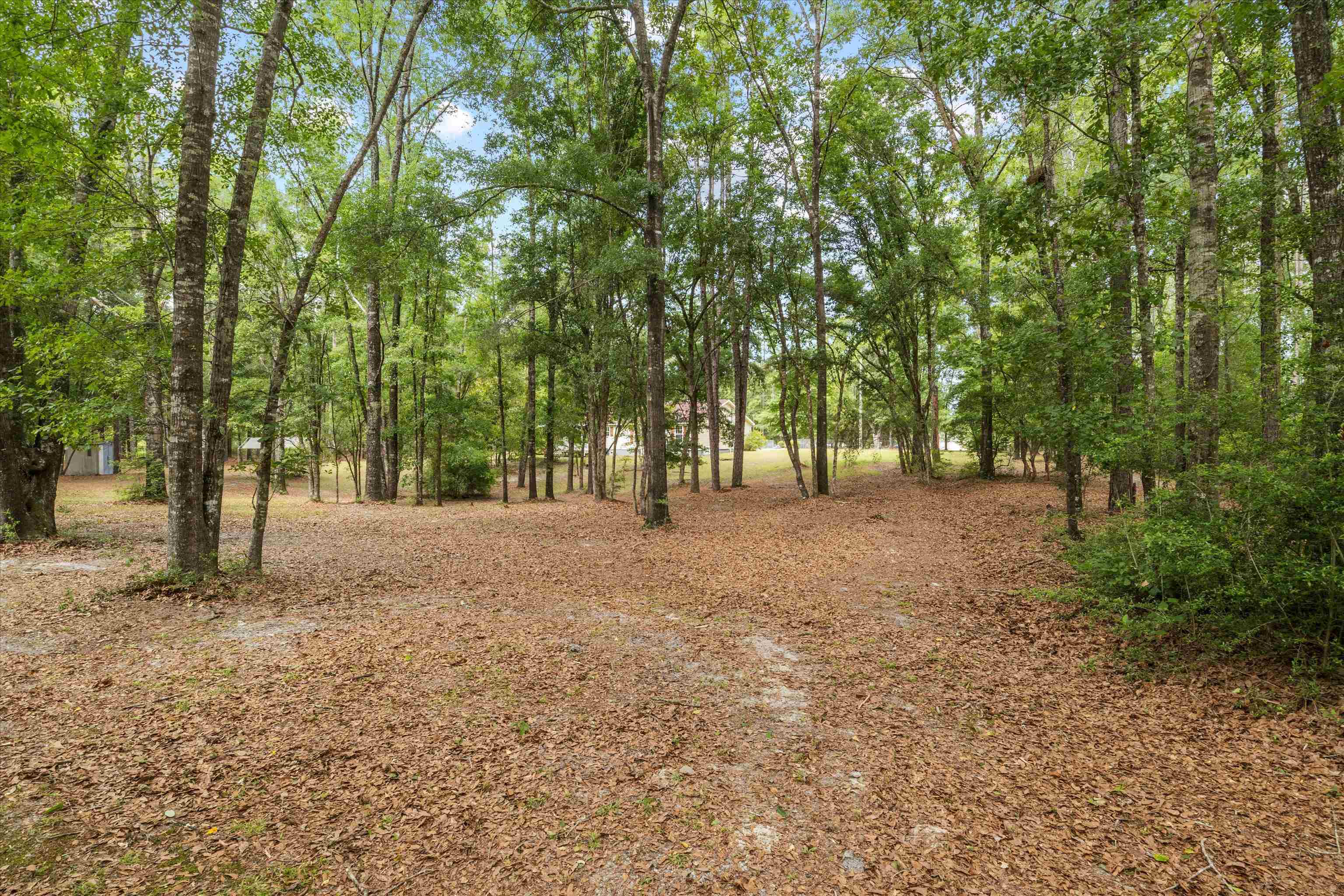 8033 Christina Road, Tallahassee, Florida image 38