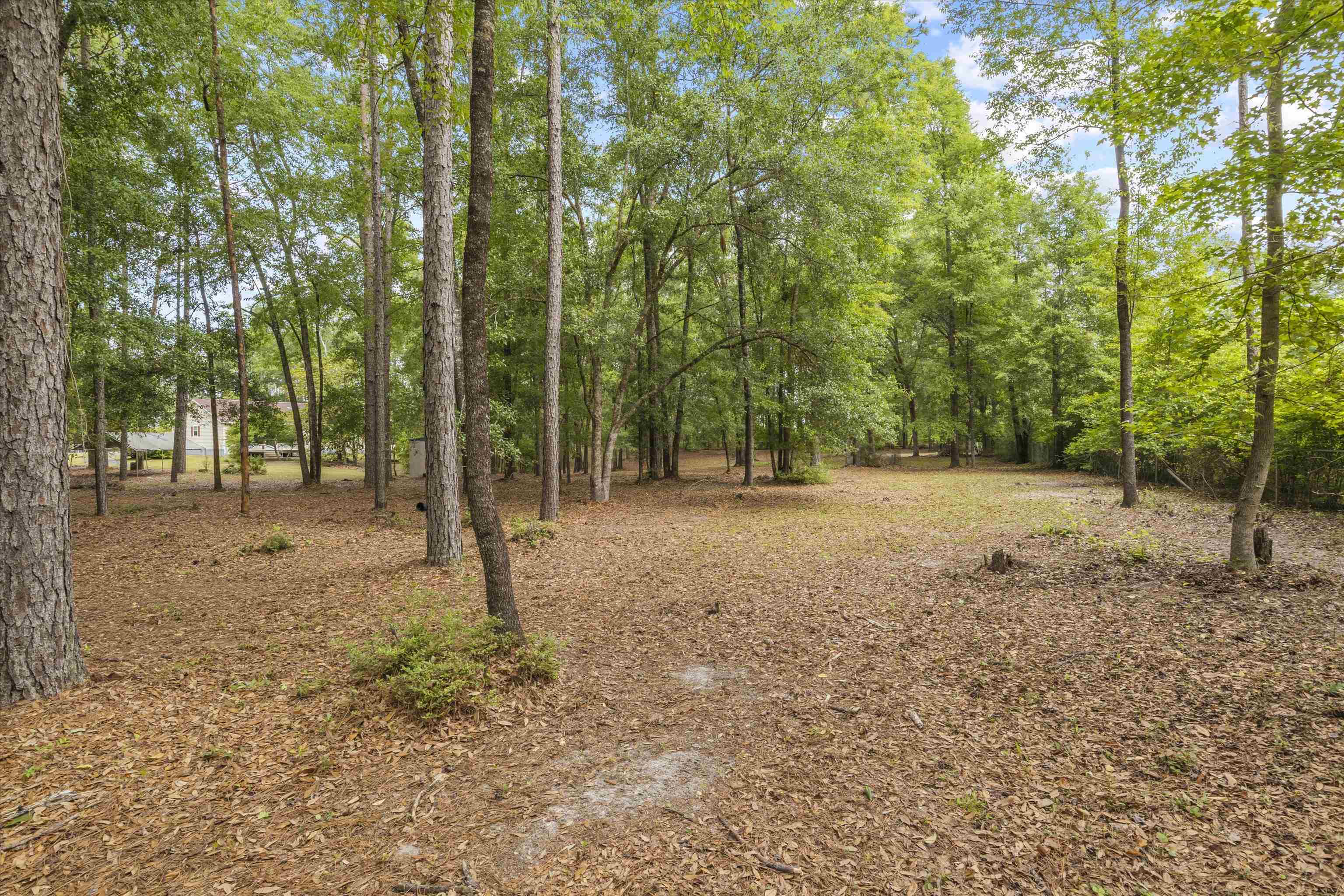 8033 Christina Road, Tallahassee, Florida image 39
