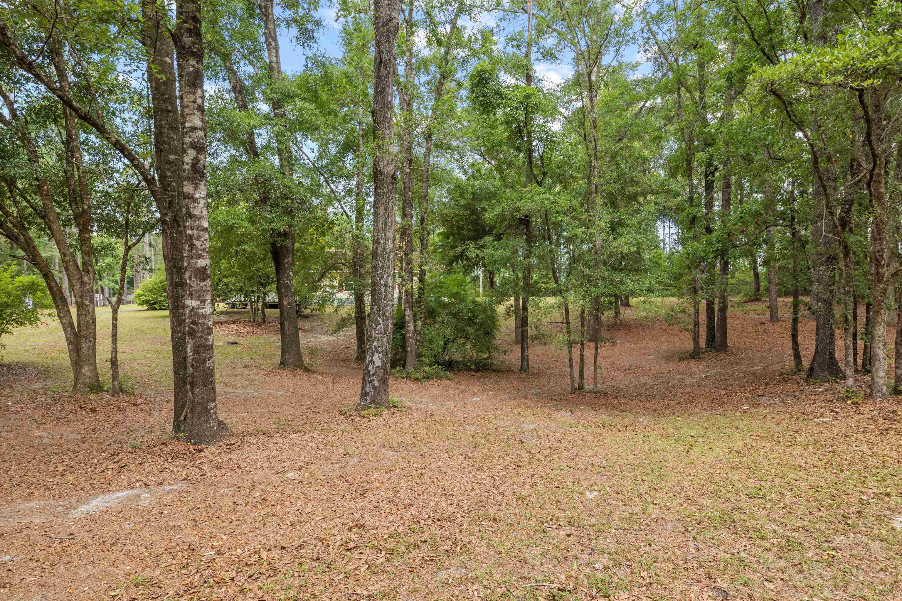 8033 Christina Road, Tallahassee, Florida image 41