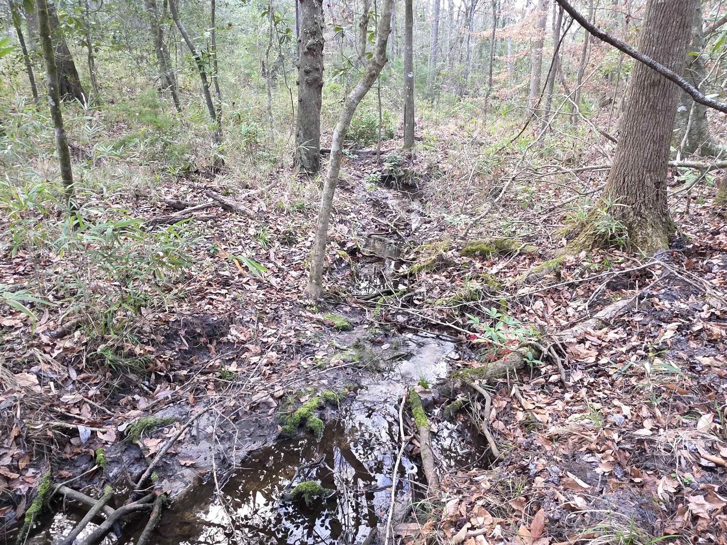 Williams Landing Road #LOT 29, Tallahassee, Florida image 5