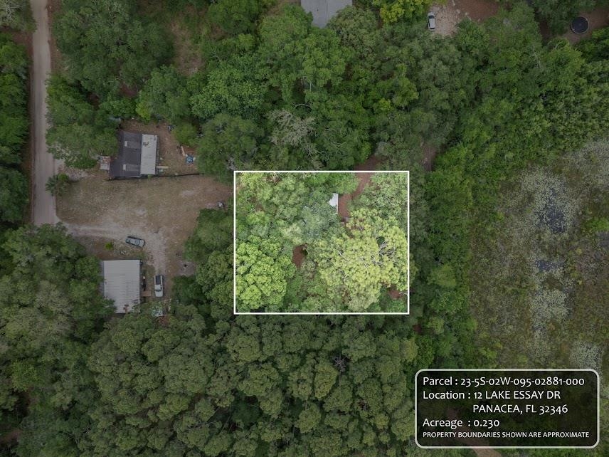 12 Lake Essay Drive, Panacea, Florida image 5