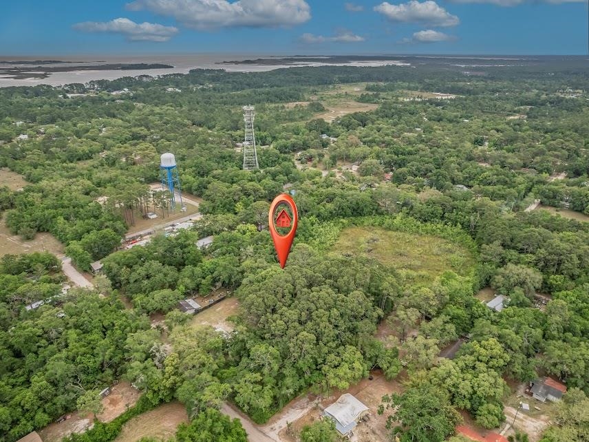 12 Lake Essay Drive, Panacea, Florida image 6