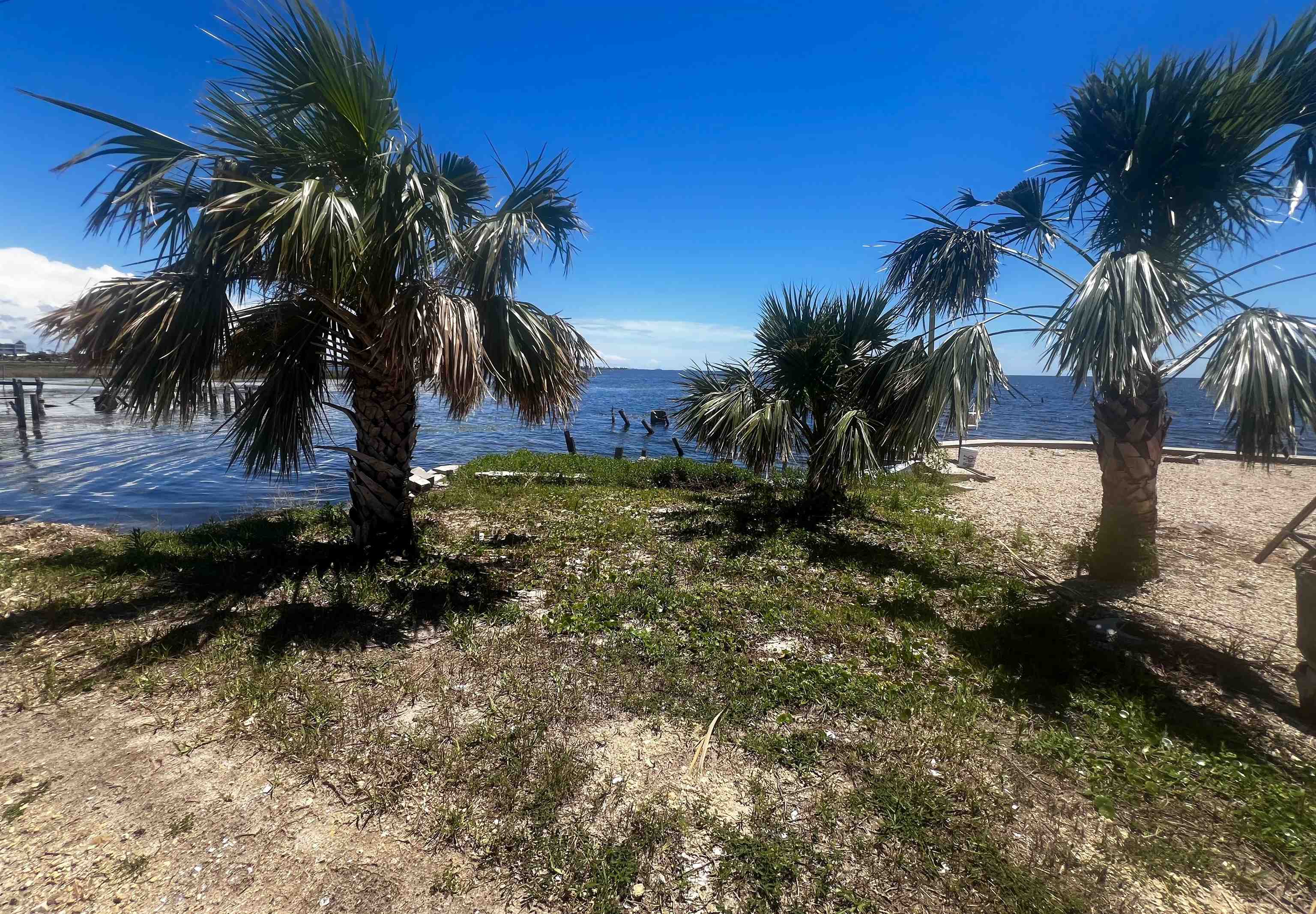 1836 Ezell Beach Road, Keaton Beach, Florida image 2