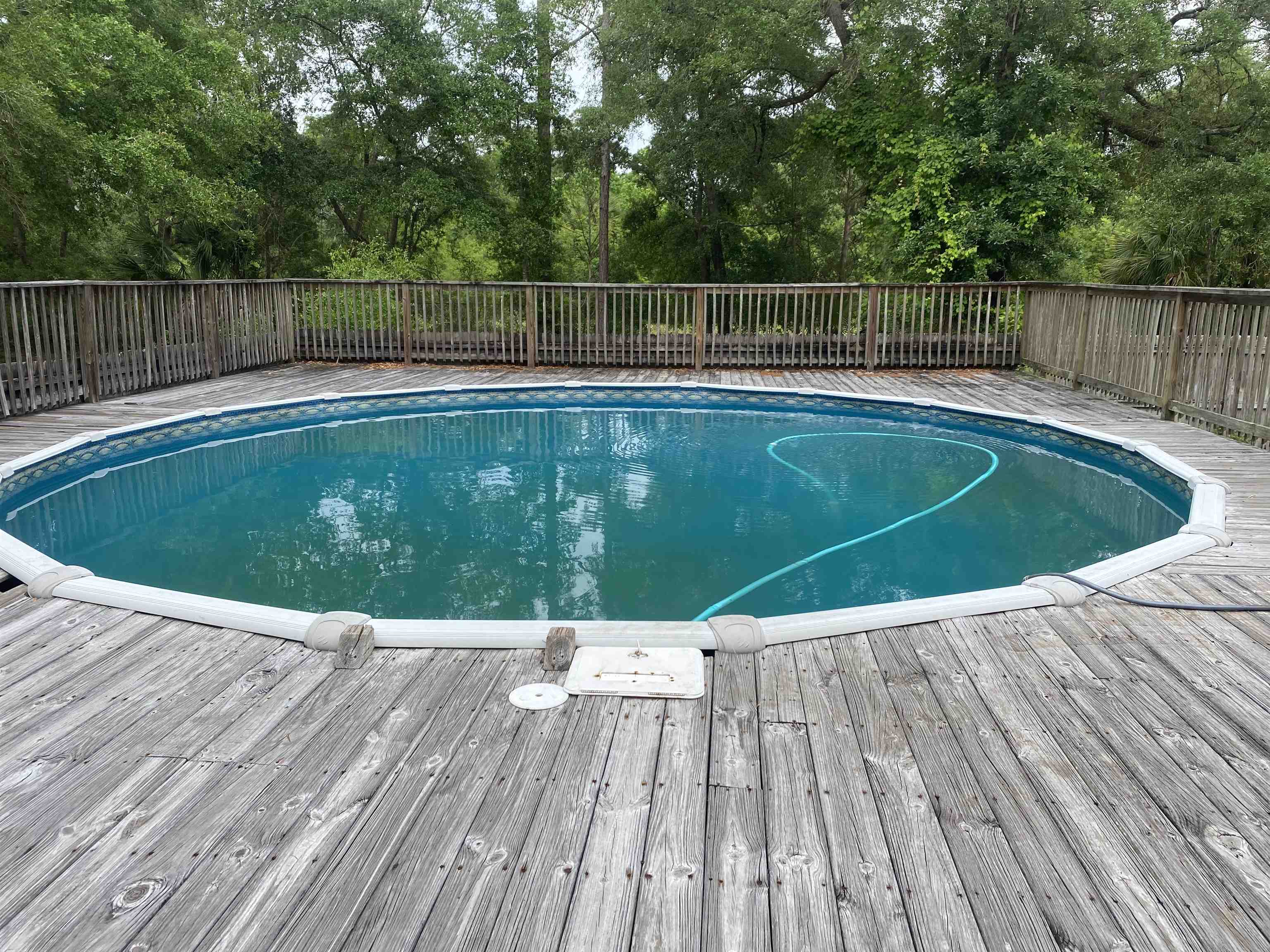 92 Koch Street, Panacea, Florida image 3
