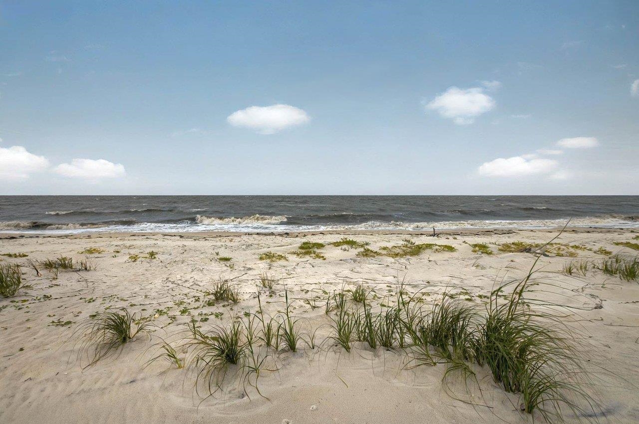 1195 Alligator Drive, Alligator Point, Florida image 42